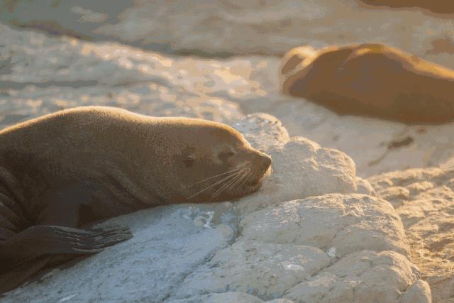 游记分享推送,游记分享我的旅行日记