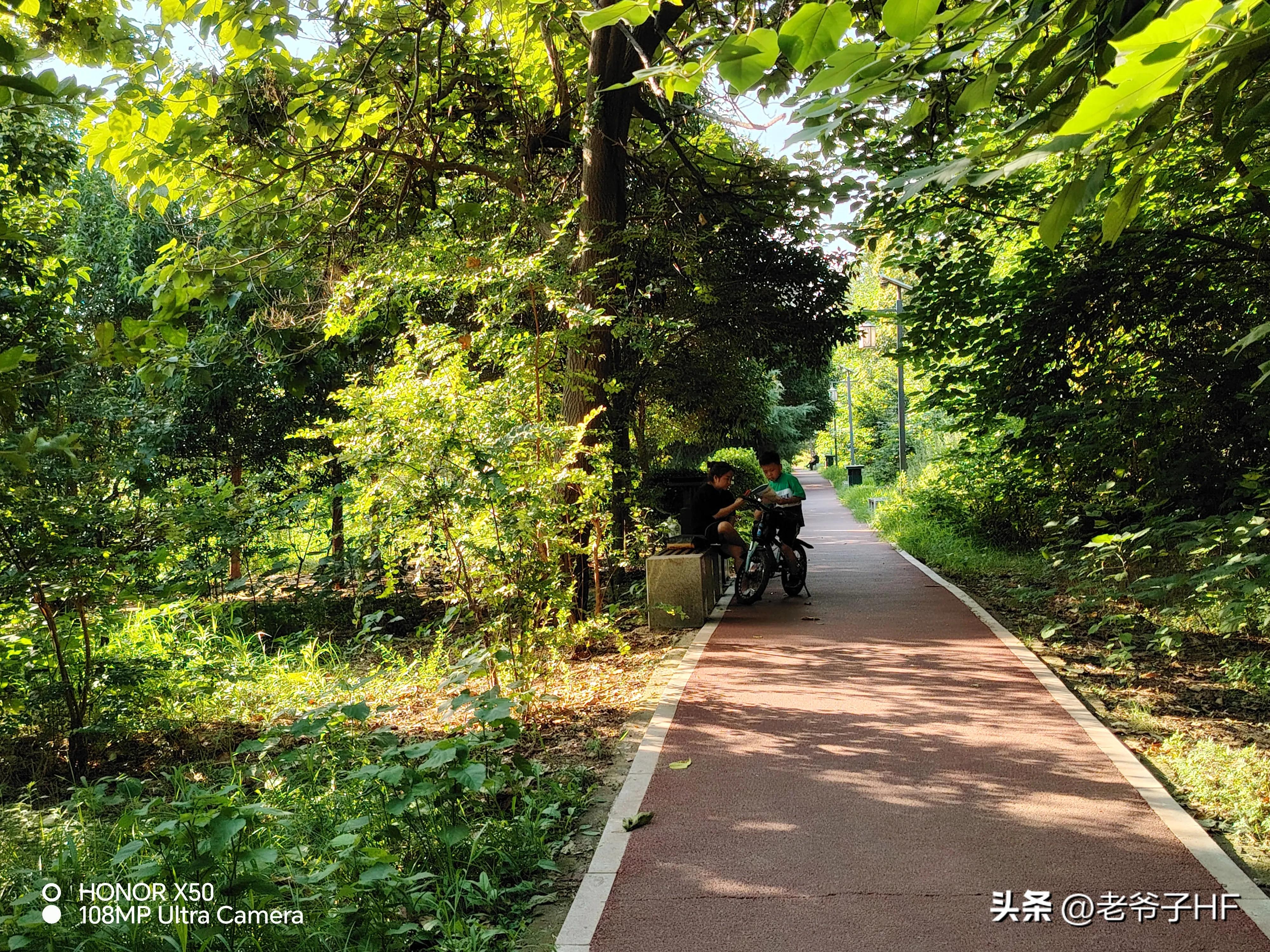 荣耀x50手机拍照测评,荣耀x50gt拍照评测