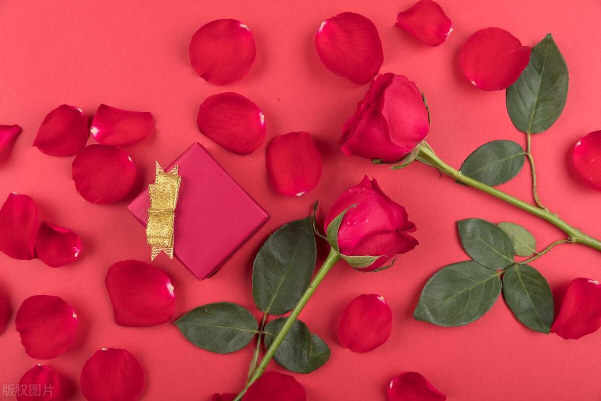 关于爱情的定义正确的是什么,德云社相声爱情哪有标准答案