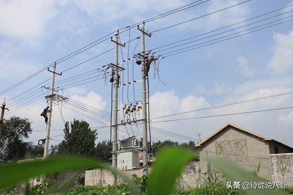 杨孟衡失去双臂的全过程,无臂学霸杨孟衡的故事