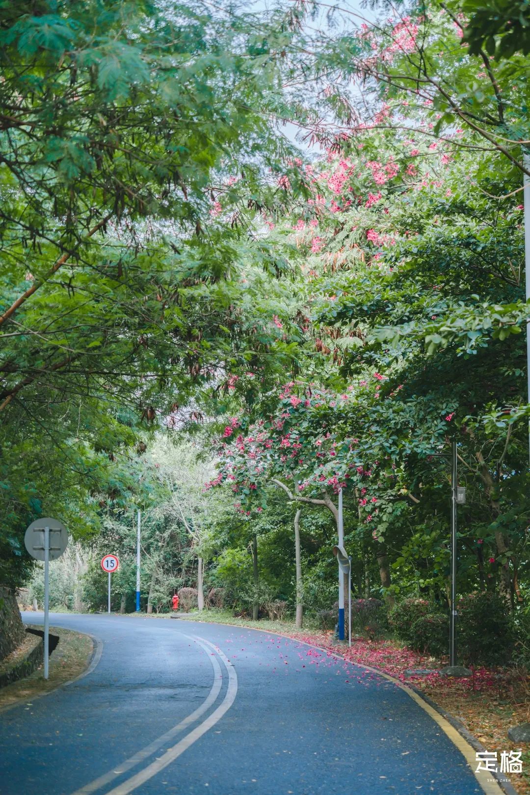 凤凰山绿道开放时间,凤凰山绿道全长多少公里