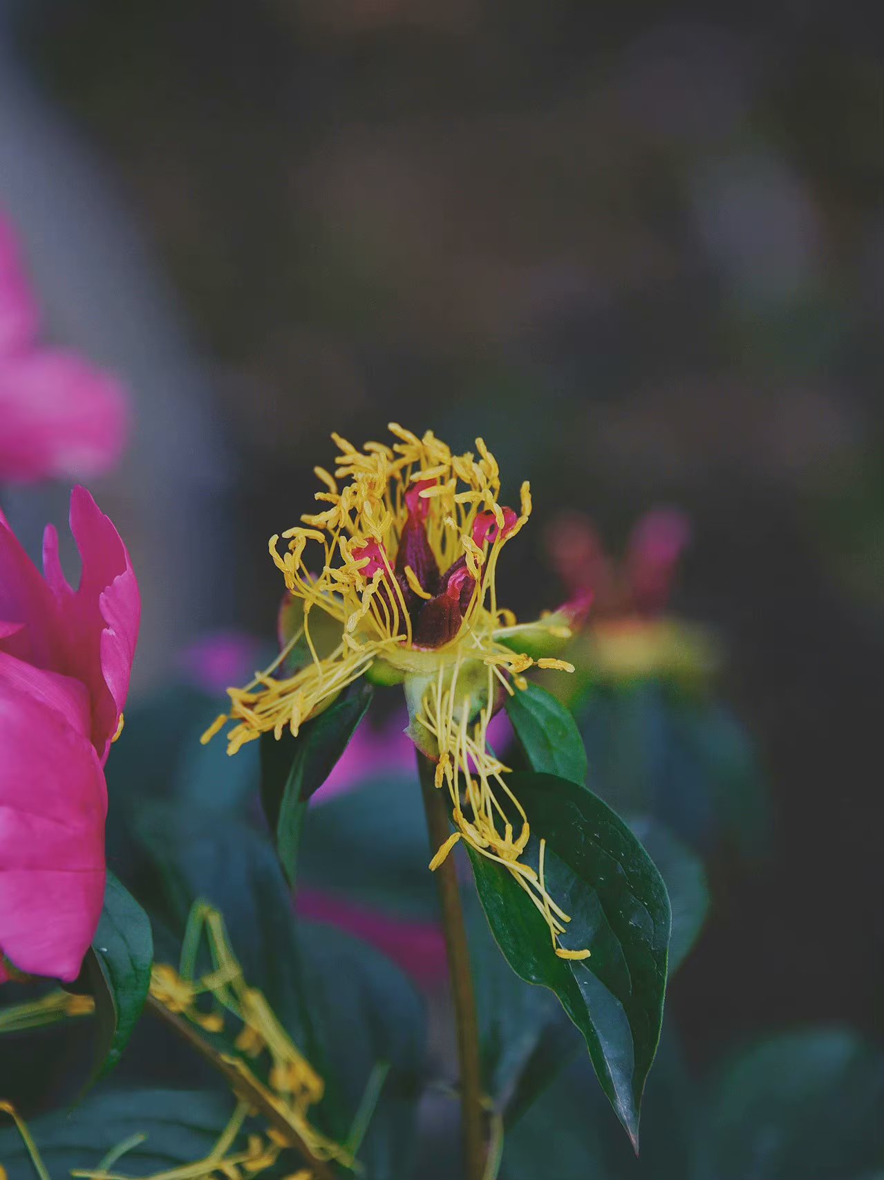 人生苦短其实不完美是生活的常态,人生无常一切都是最好的安排