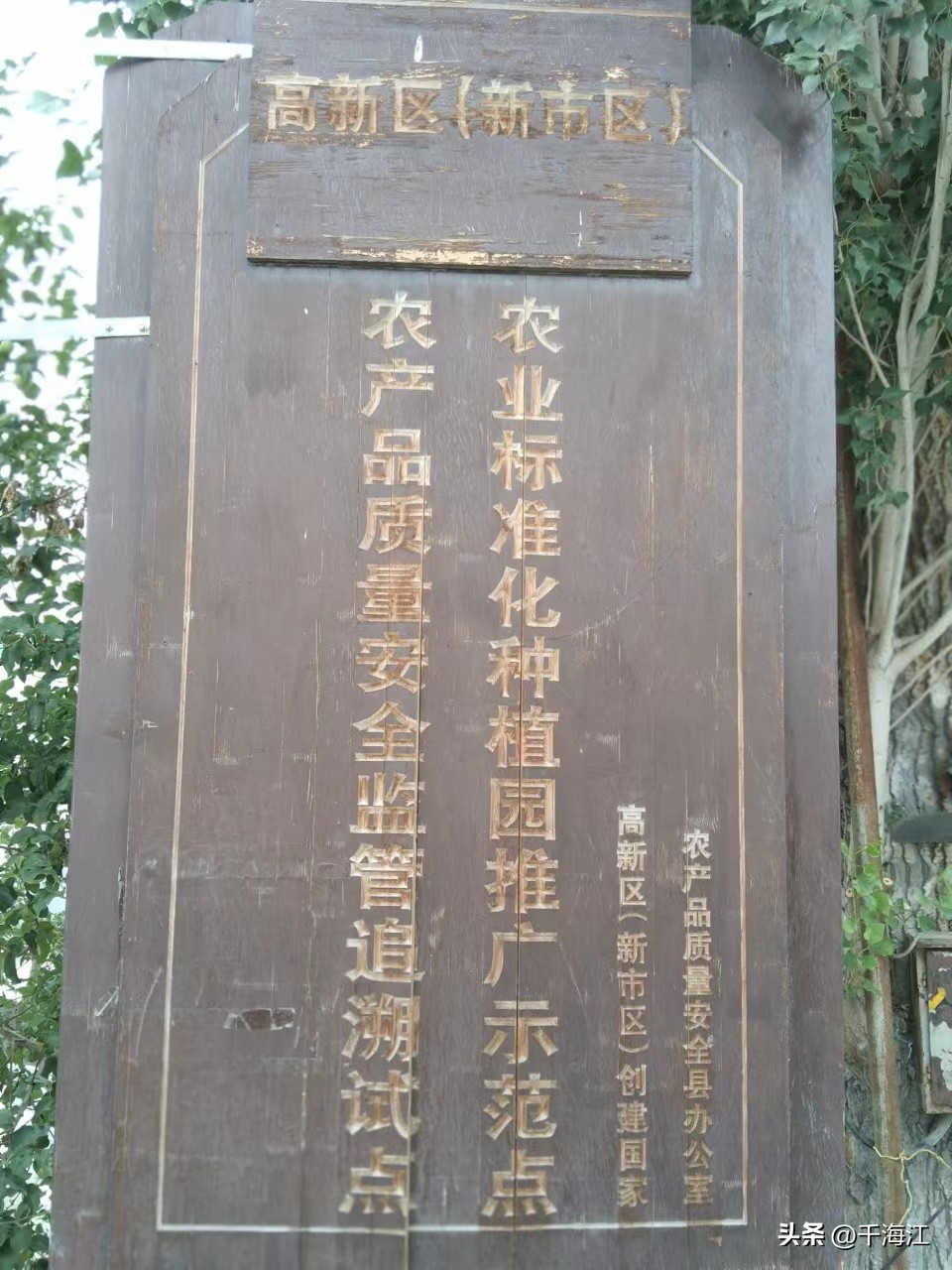 塞外水乡度假村怎么样,乌鲁木齐新市区塞外水乡门票价格