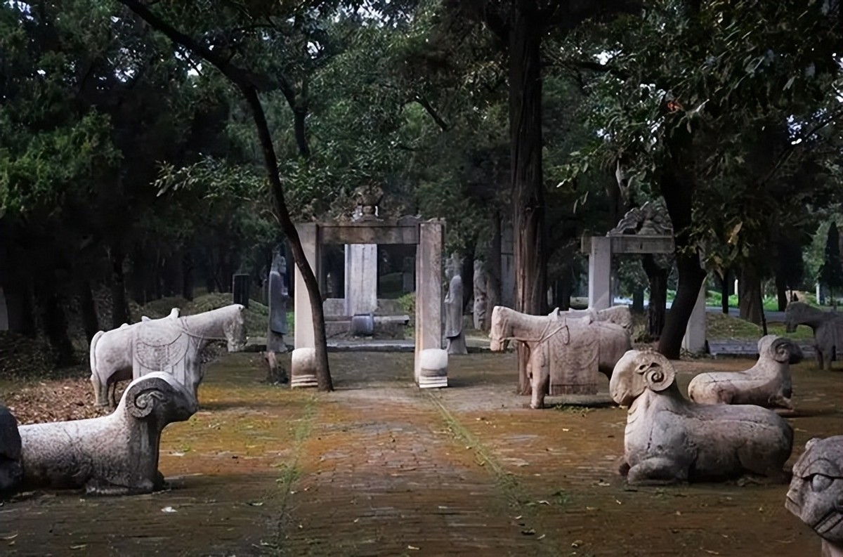 山东孔林为何能乌鸦远避，蛇类不侵？老祖宗的智慧让人叹服