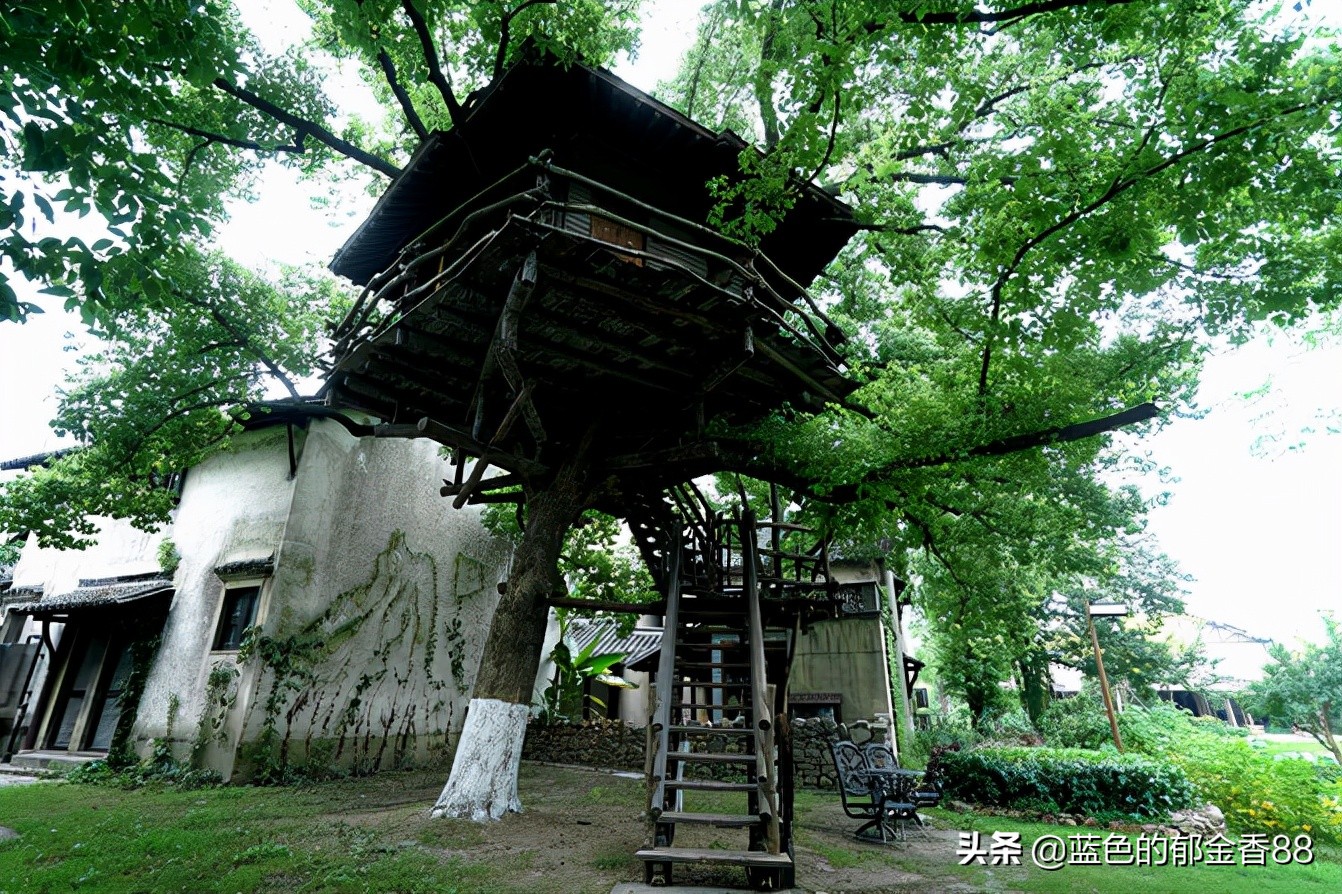 无名河我心中的伊甸园,画出我心中的伊甸园