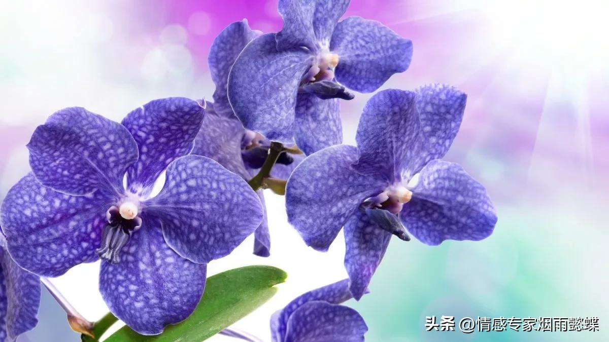 明白朋友圈定律后才懂得如何社交,最惊人的朋友圈定律