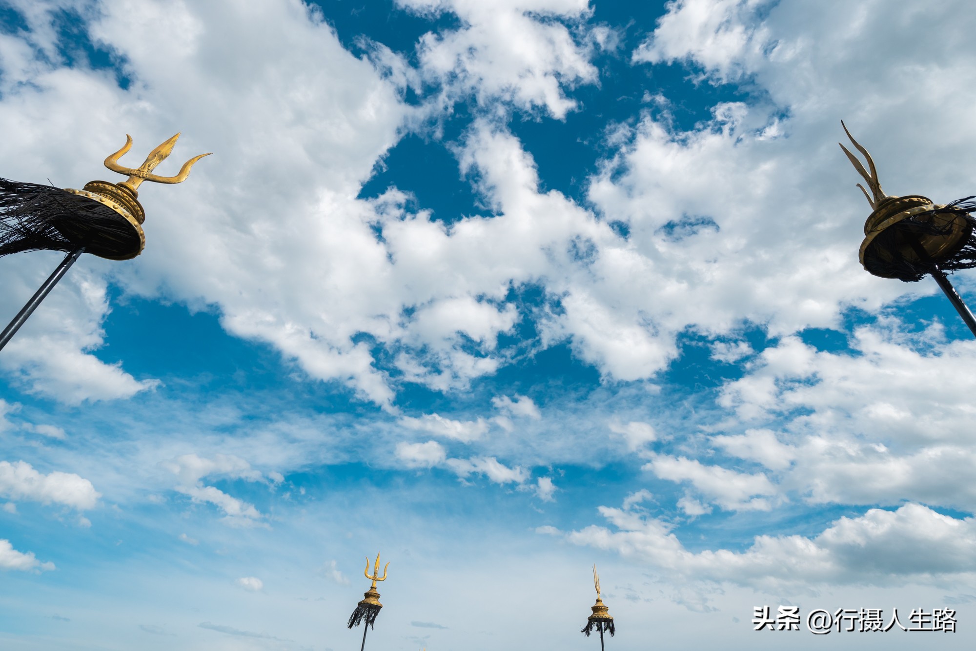 一路向北去黑龙江漠河,一路向北去寻找花海