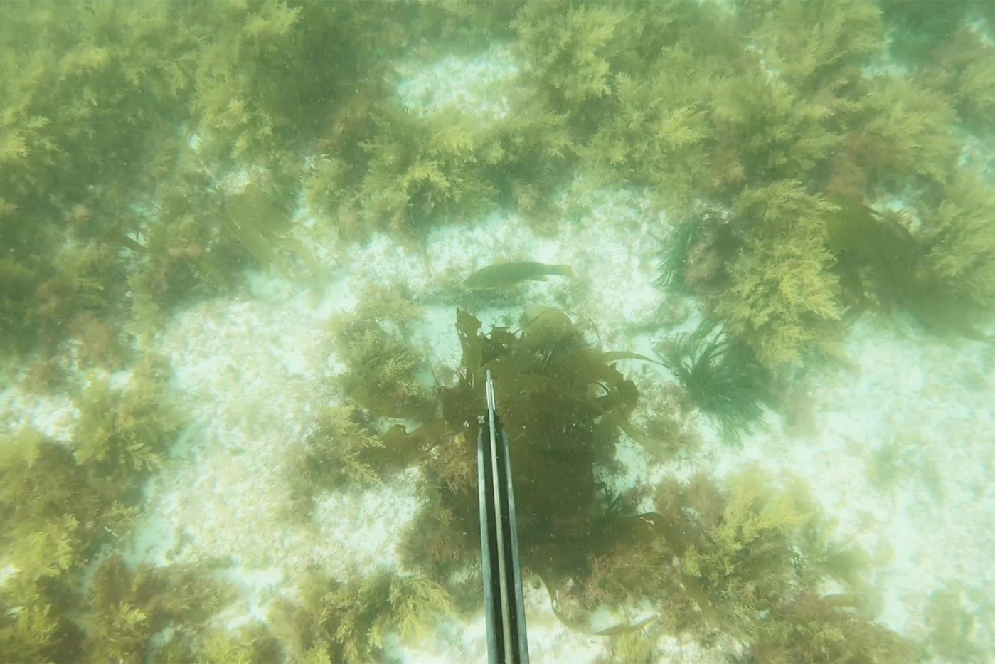 中国小伙荒岛求生大合集,中国小伙的航海日记合集