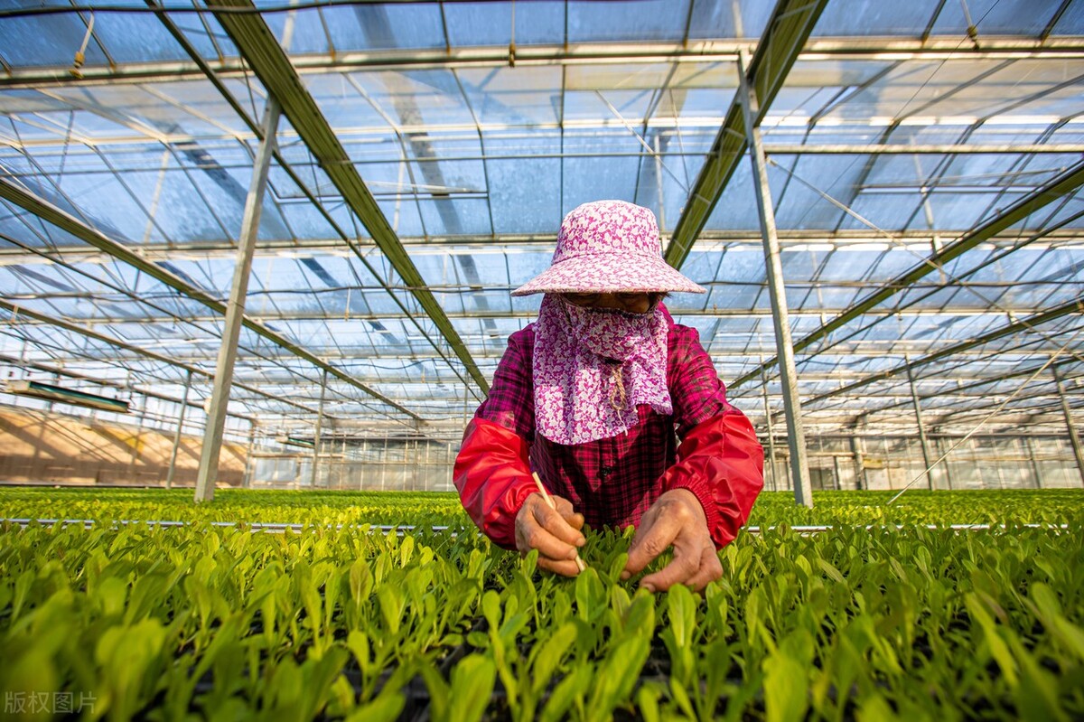 生态农业做什么最赚钱,生态农业前景如何