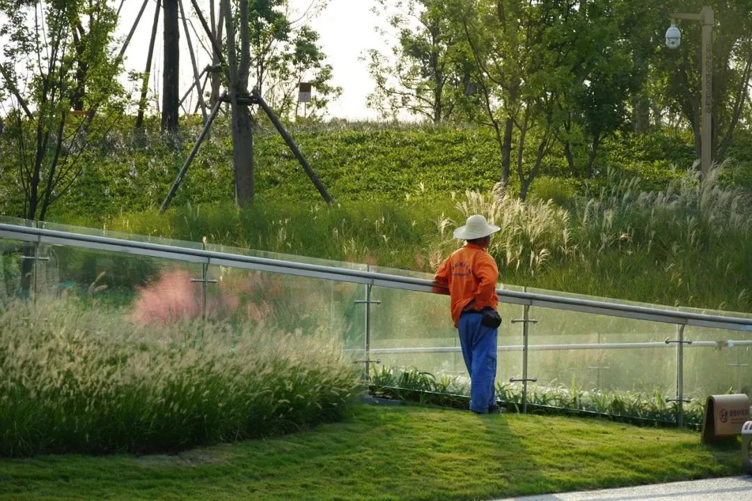 成都音乐森林公园,成都露天音乐公园儿童乐园