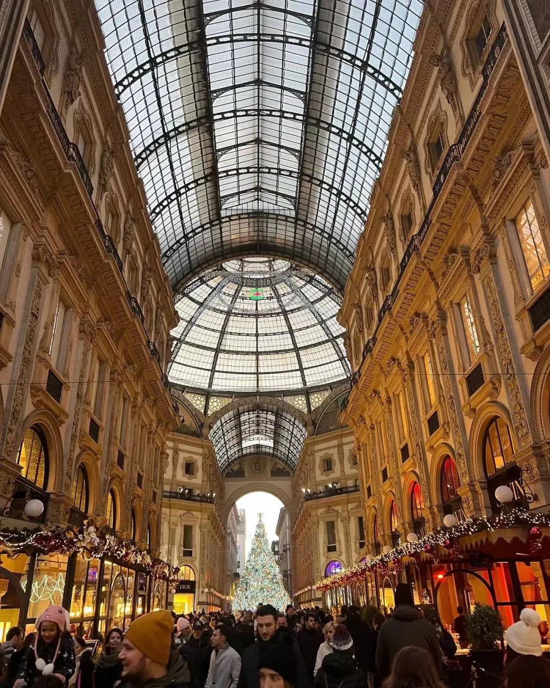 外贸商人组团出海抢单，外国客户兴奋：“这是三年里在业务上见到的第一个中国人”