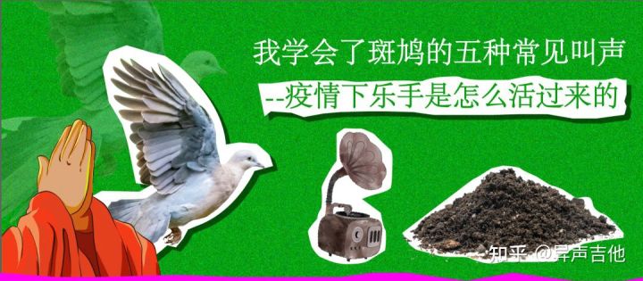 斑鸠的五种常见叫声,疫情下我学会了什么技能