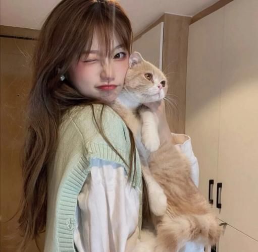 栖桐国际纹眉价表,栖桐国际纹眉