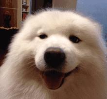 平价护肤品百元以内护肤干货,平价护肤品前十名护肤干货