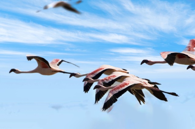 中华民族伟大复兴首先是传统文化,中华民族的伟大复兴与文化的传承