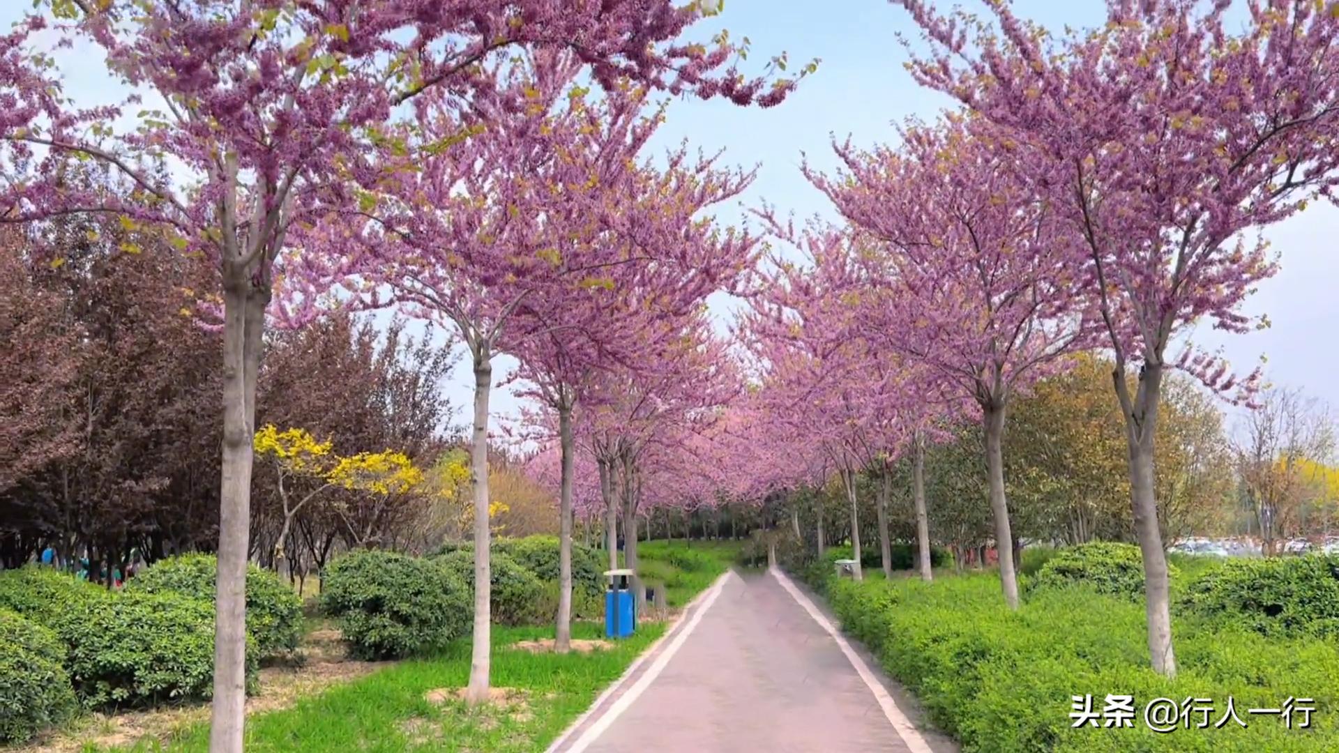 郑州周边夜晚露营地推荐,郑州露营旅游地点推荐