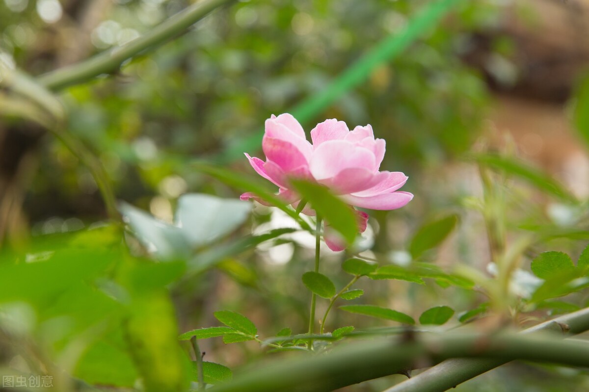 75岁老人临终的诉说,75岁老人的诉说