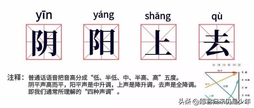 张雨绮的名字解读,张雨绮百科内容