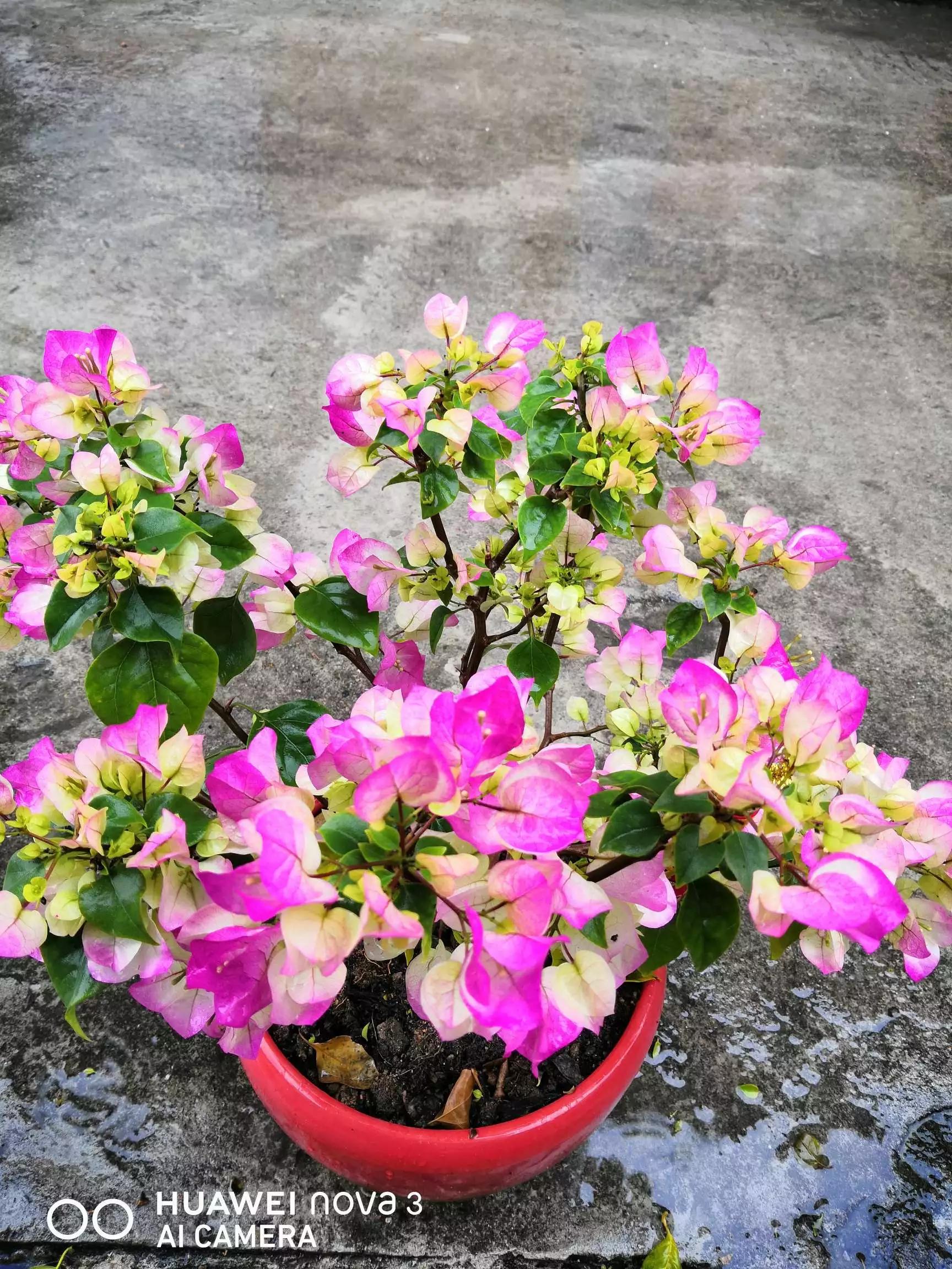 岁月斑驳留下来的都是静好时光,岁月斑驳愿时光静好