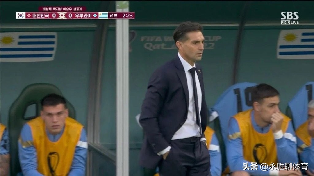 乌拉圭教练被砸解说是谁,乌拉圭教练被砸