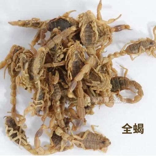 每天学习一味中药蜈蚣,蜈蚣打通血管中药配方