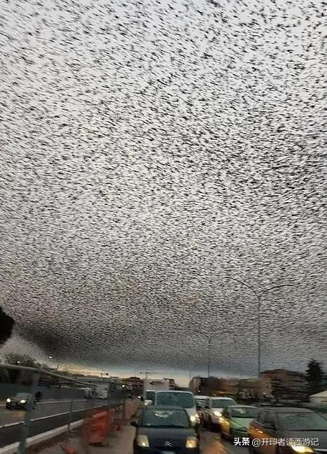 会踢球的蜘蛛精，本是王母的心腹七仙女，她们为何被无情抛弃