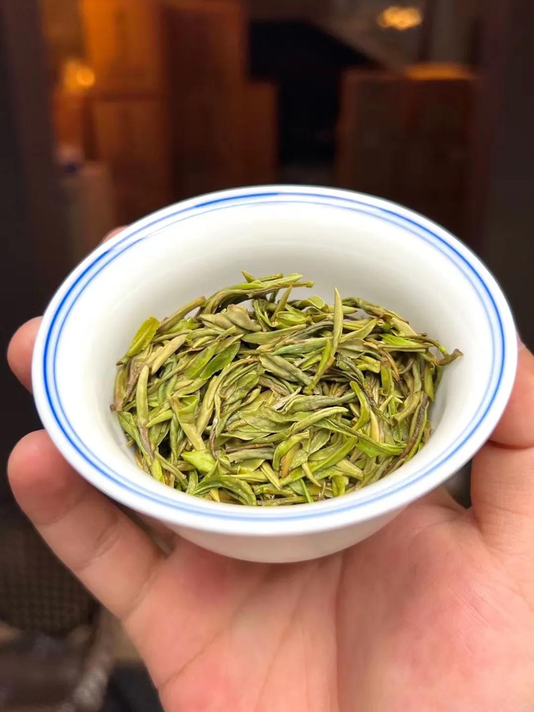 白茶初入门的新手如何能买到好茶,白茶新手入门必买