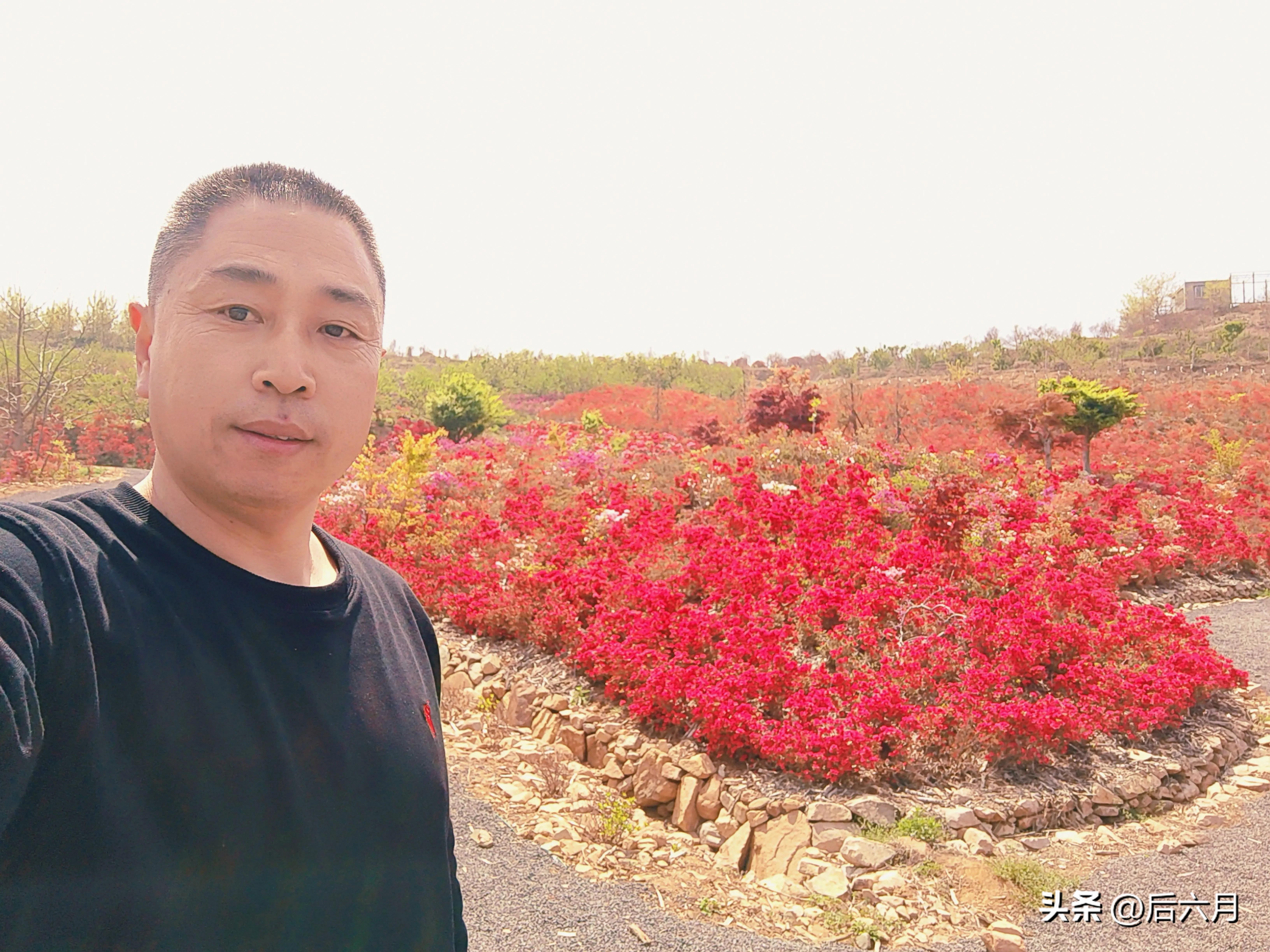 途游西海岸l无比方花园，杨家山里新添网红打卡地