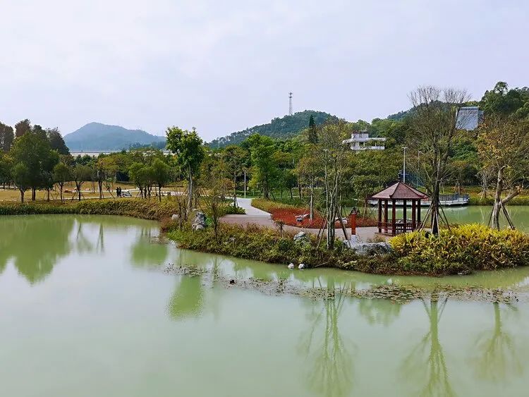 广州出发-中山2天游，打卡银坑逍遥谷+*钟金**湖公园+采摘荔枝