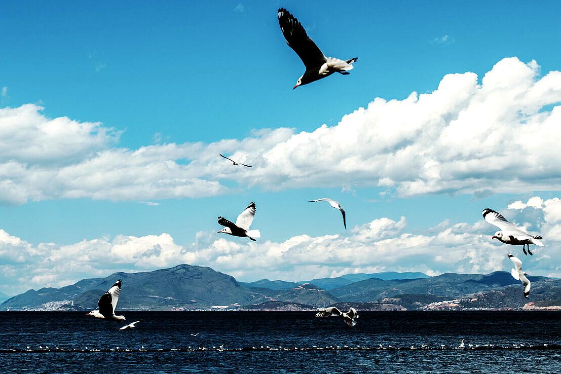 大理洱海五个古镇,大理洱海一圈有多少打卡地