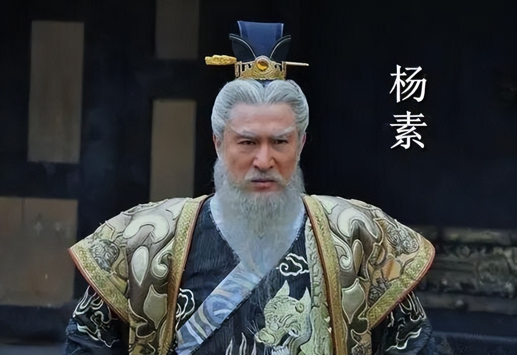 隋唐历史上真实的杨素,历史上的杨素简介