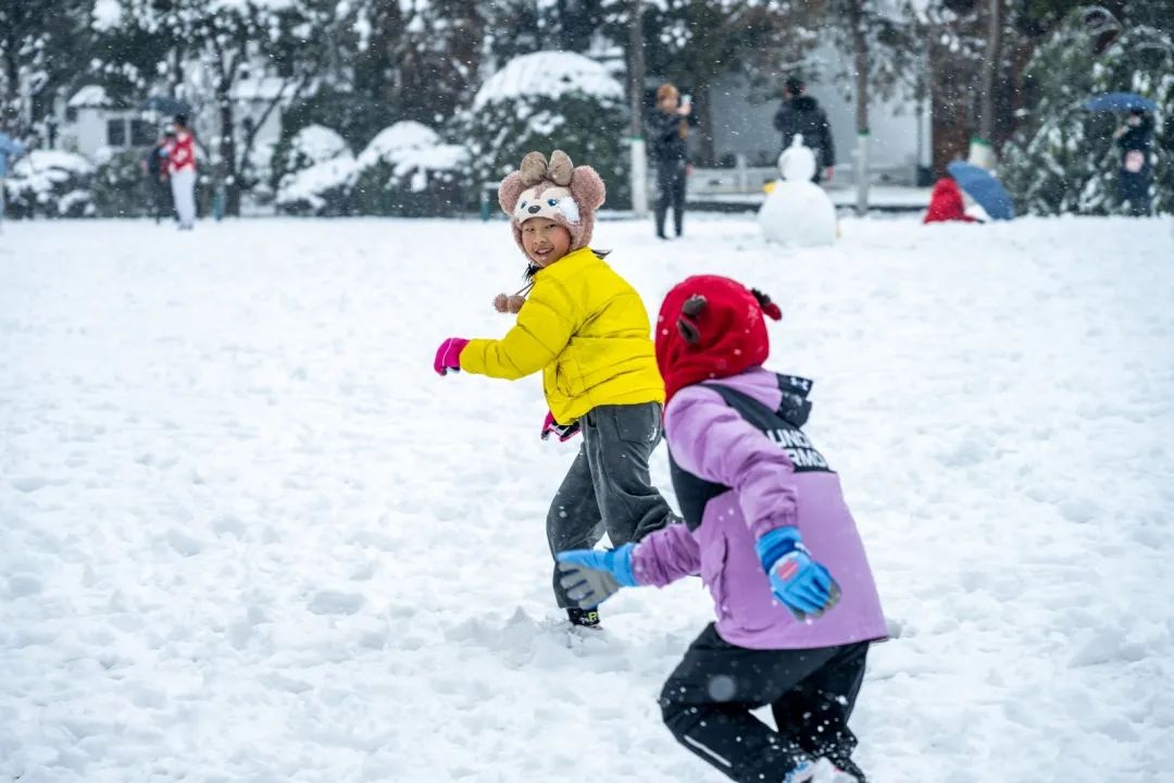 尼康z系列挂机镜头,尼康z24-200和24-120哪个好