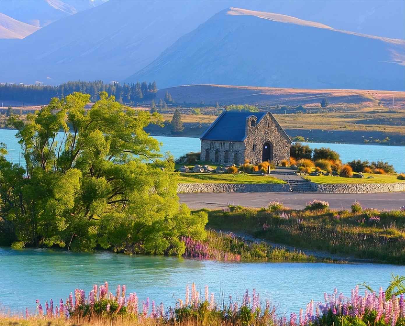 新西兰的自然资源条件,新西兰对自然环境的保护