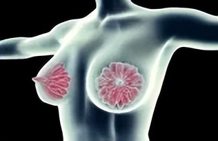 雌激素和孕激素对乳腺癌作用,雌激素和孕激素对乳腺癌的影响