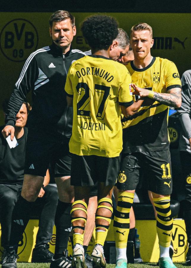 罗伊斯跪地掩面痛哭,罗伊斯热搜