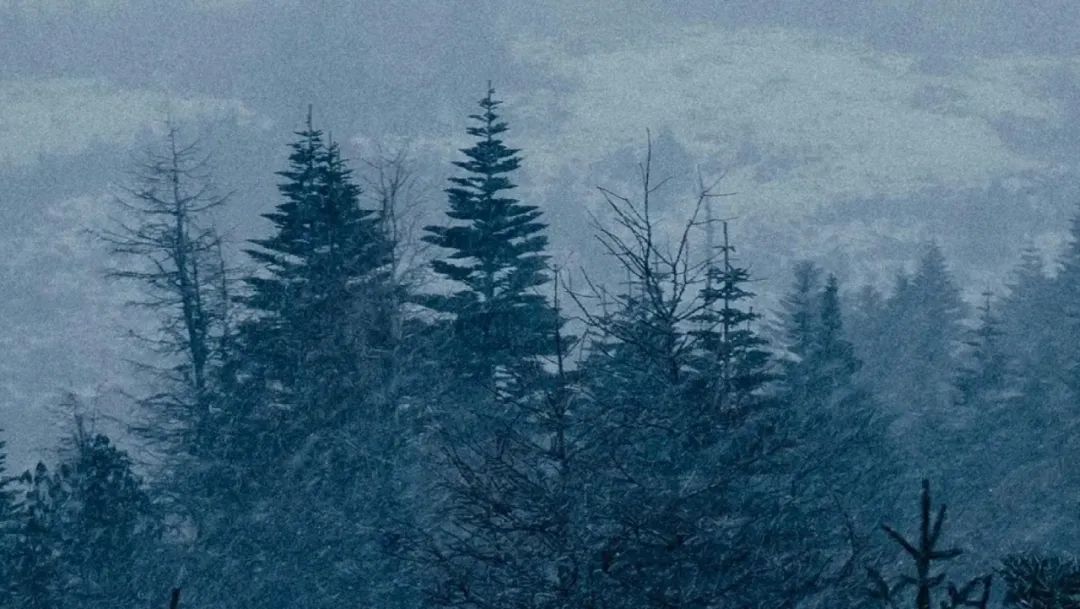 婚姻没爱了还要继续吗,婚姻没感情了要不要凑合过一辈子