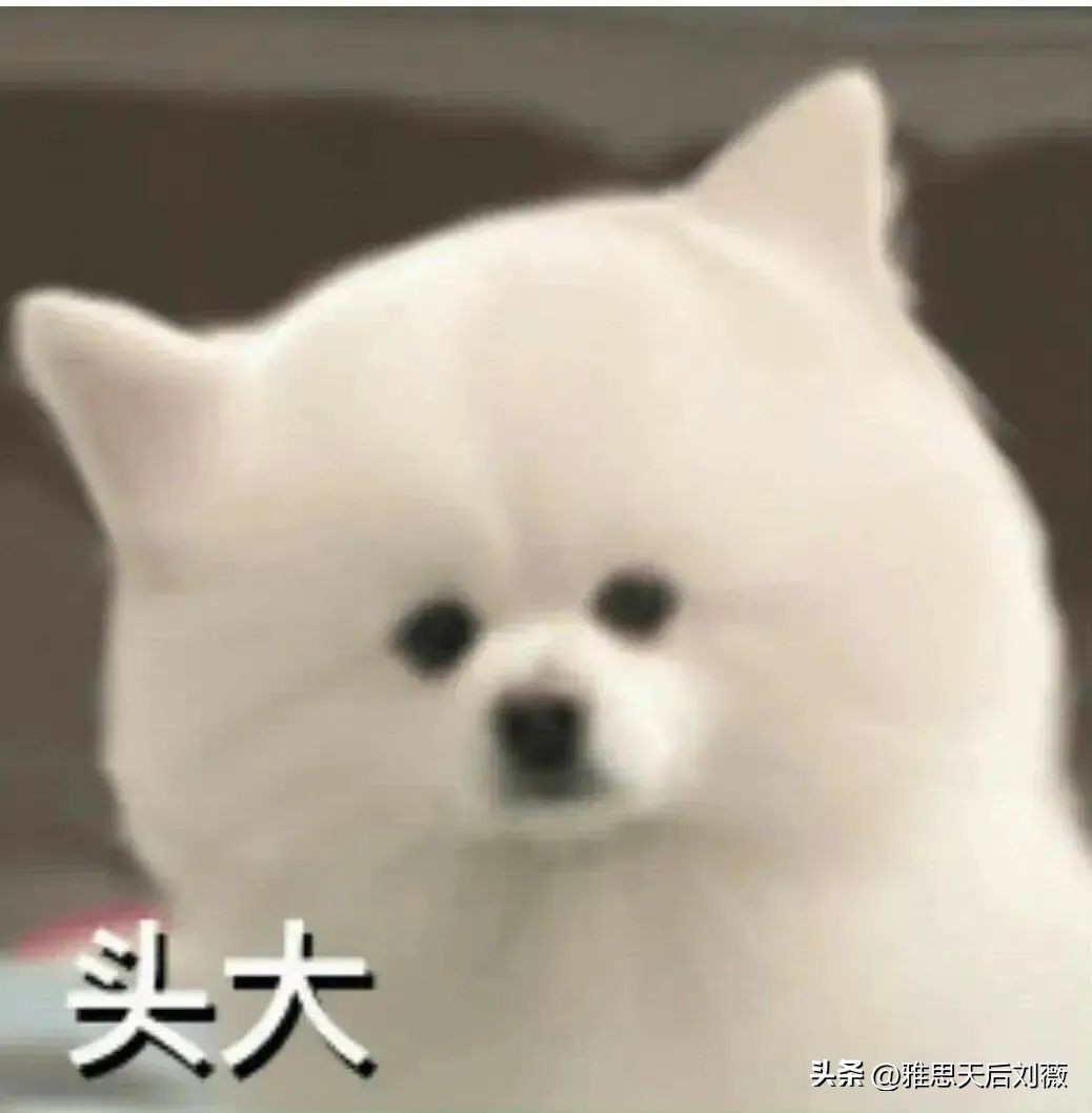 越南考雅思真能提分吗,雅思考试4.5分好过吗