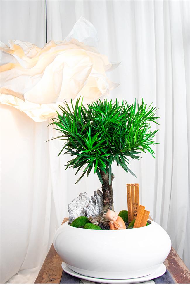 他在花市开了三家“非常规”花店，业绩不凡，成为同行学习的样板