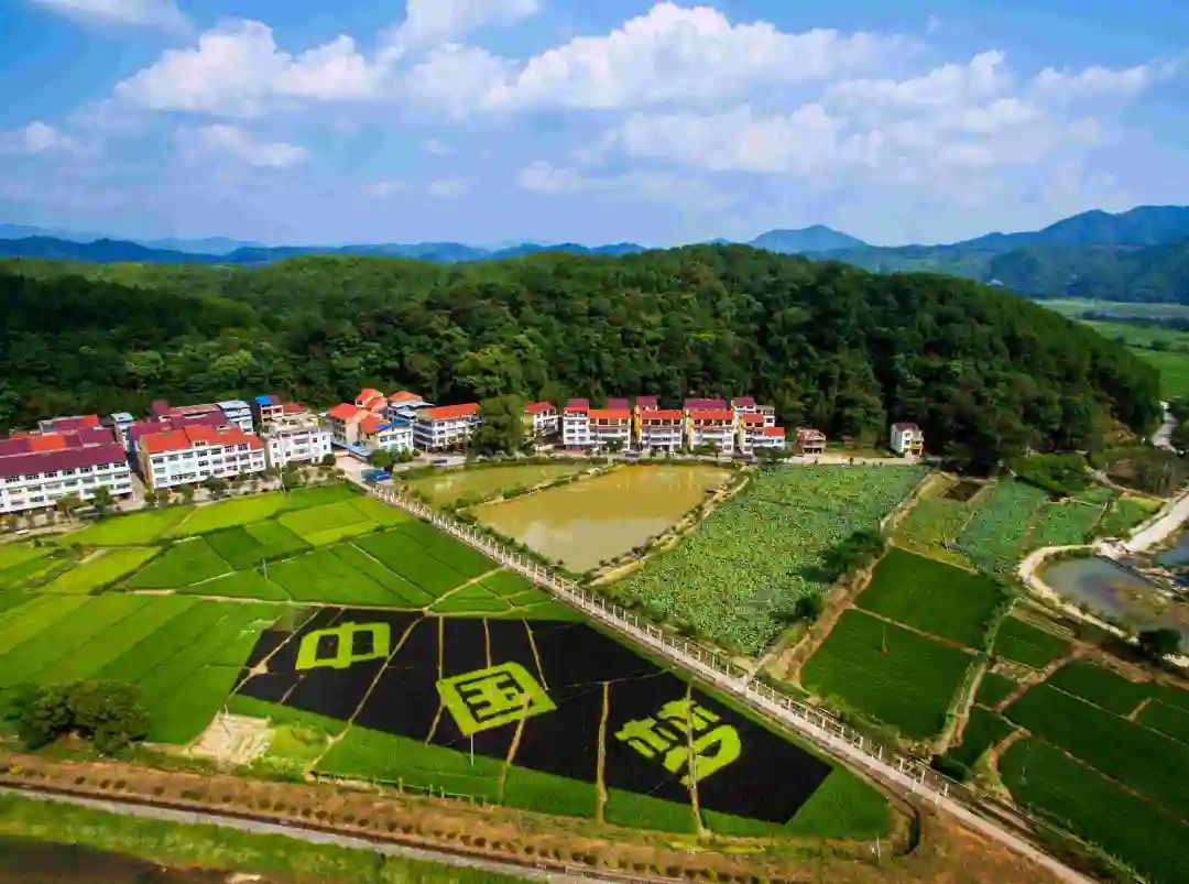 三明3天游攻略,三明旅游自由行攻略