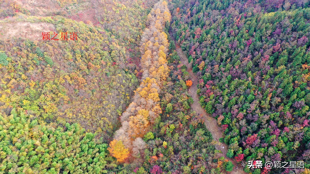 宁波黄金谷景区,宁波黄金谷