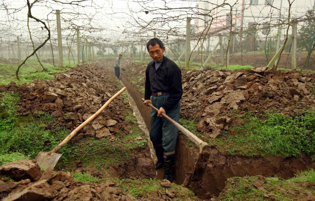 农村大学生入学后，在村里没有交口粮，遭人嫉妒，怎么办？