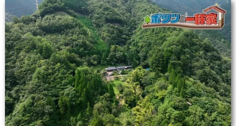 买下日本小岛的女子现在怎么样了,中国女孩买下日本一小岛