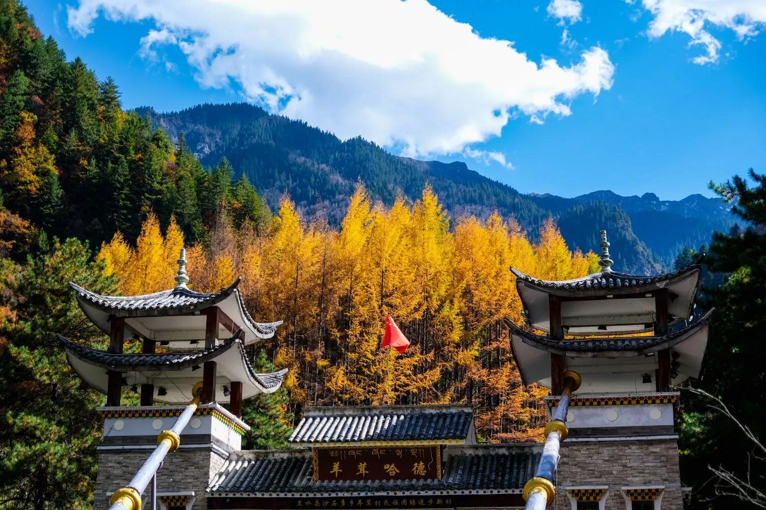 任凭世事沧桑内心安然无险,世事沧桑内心仍然安然无恙