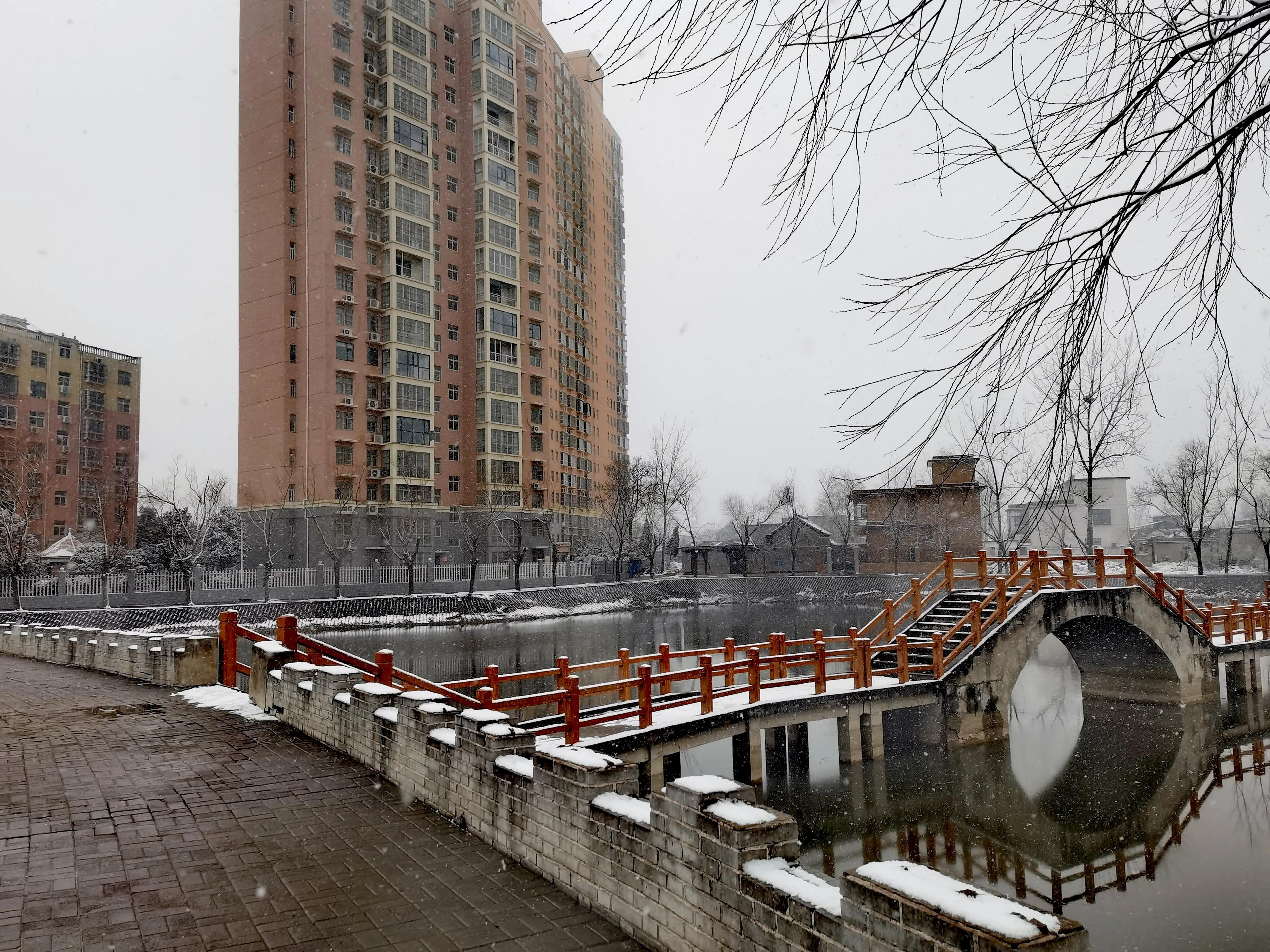 中国县城的现状,县城婆罗门