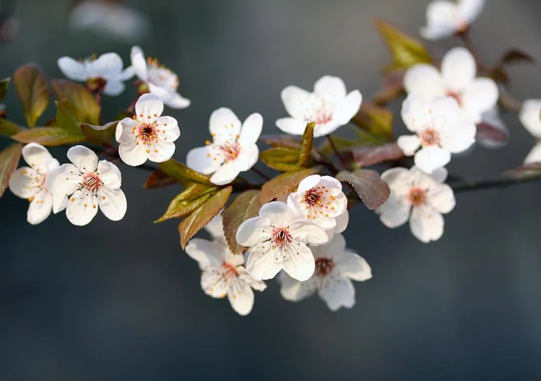 春装文案短句干净,春装爆款热卖文案
