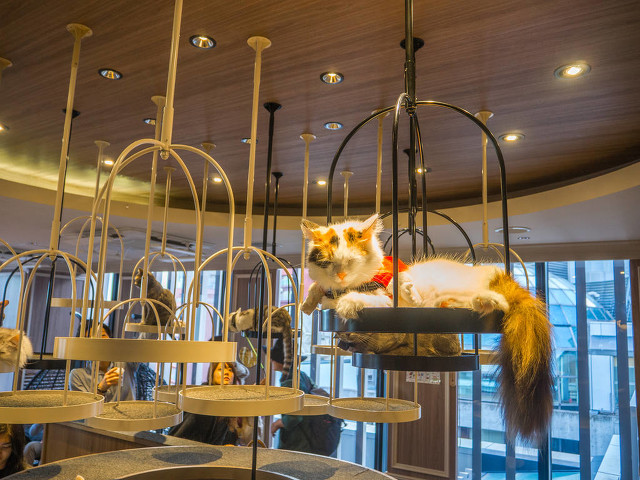 10个不起眼却暴利的小生意,10种最赚钱的小生意