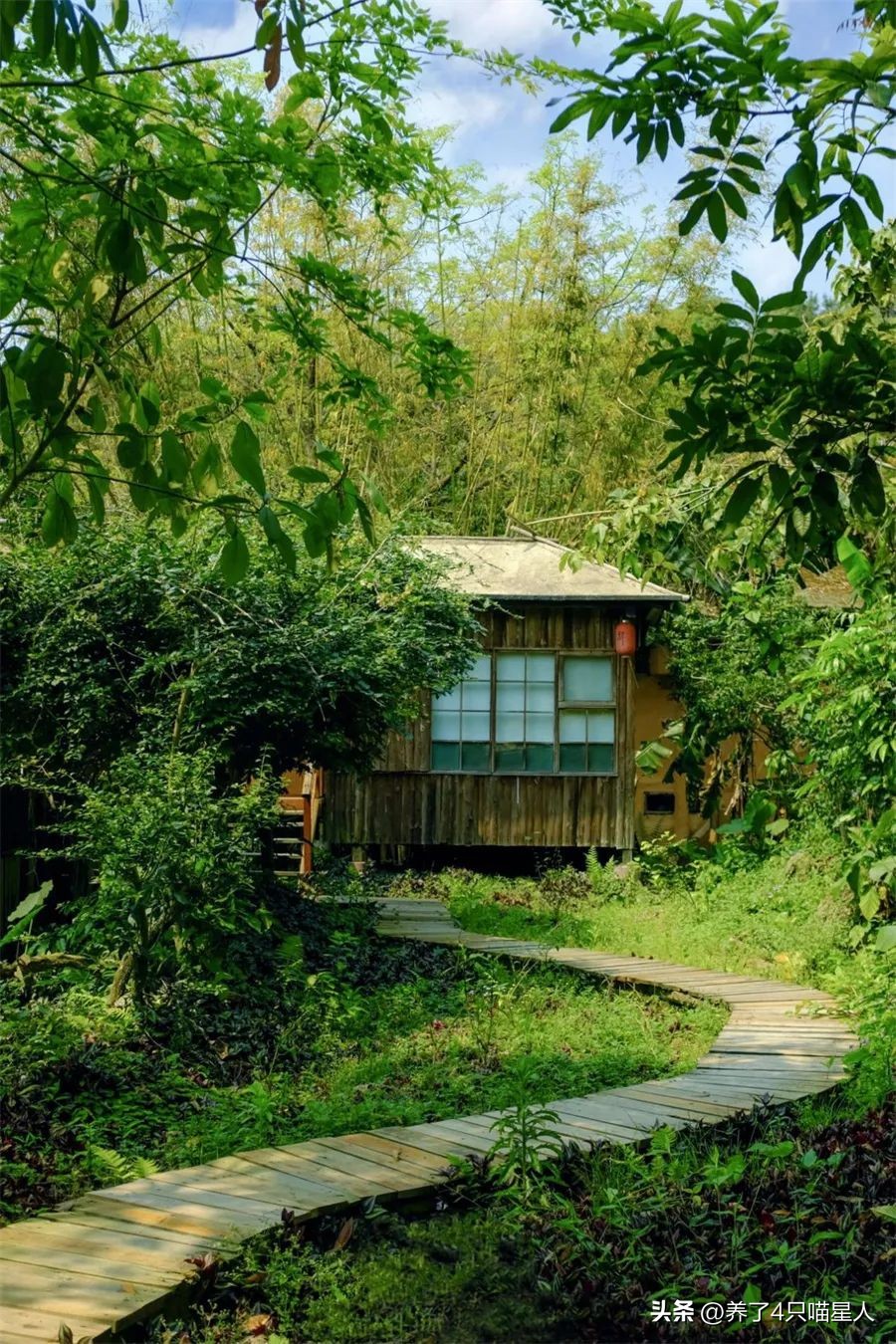 英德野渡谷轻奢民宿,清远住在山里的民宿