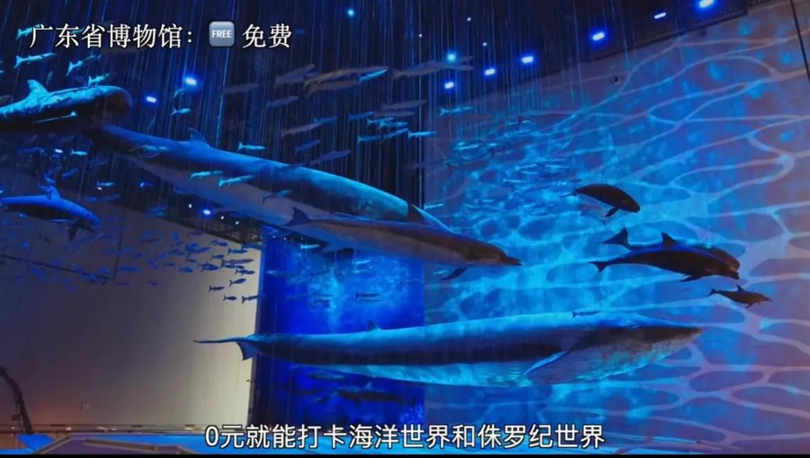 广州游玩攻略穷游,广州游玩攻略三天两夜