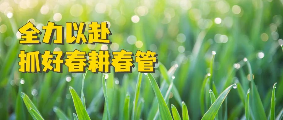 2023年常用除草剂,玉米大豆复合种植除草剂怎么打