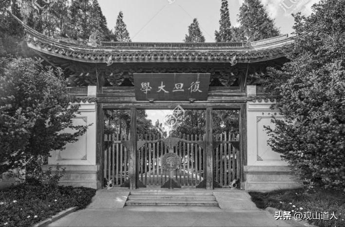 复旦才女严幼韵,复旦校花严幼韵哪年出生